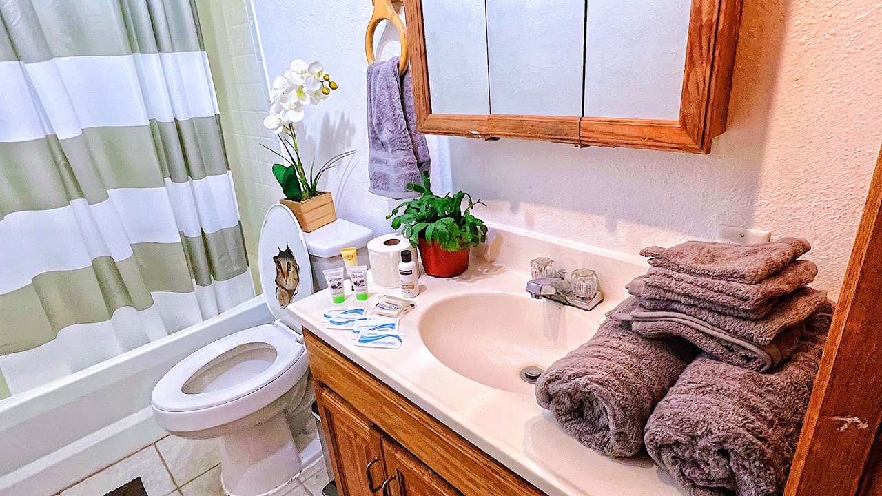 Photo of Bathroom in Renton