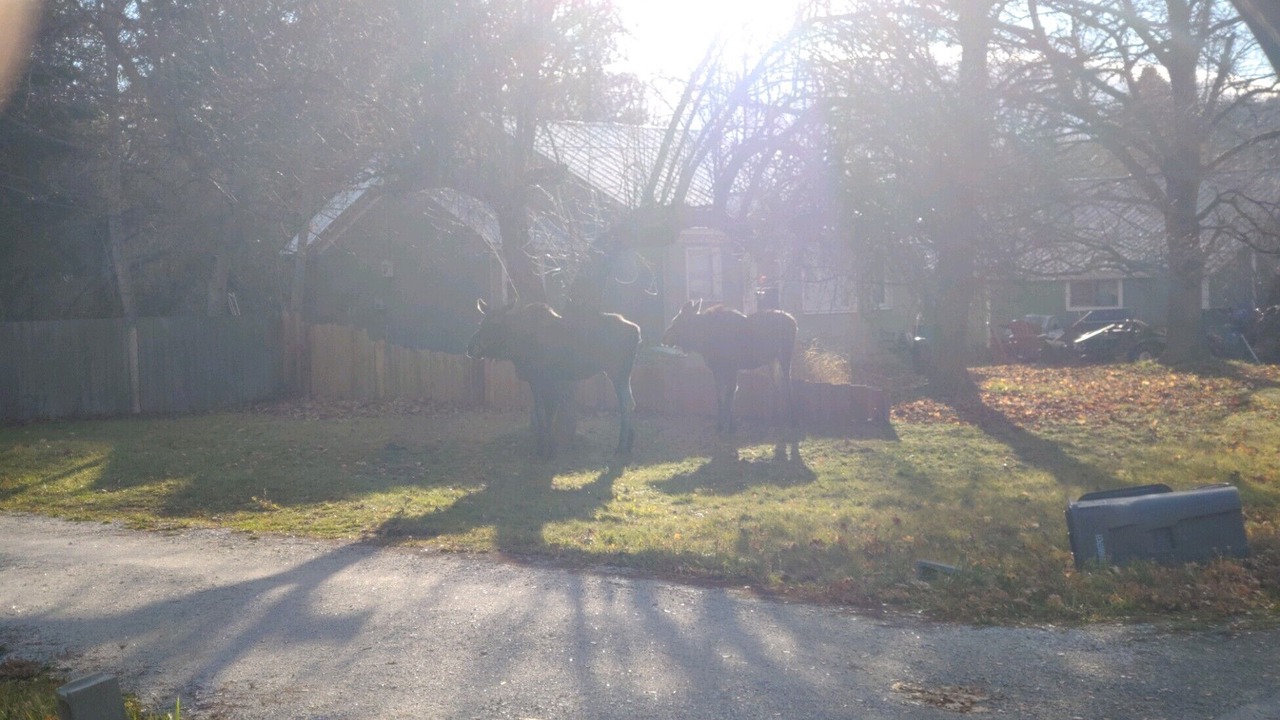 Photo of Outdoor in Dover Bay