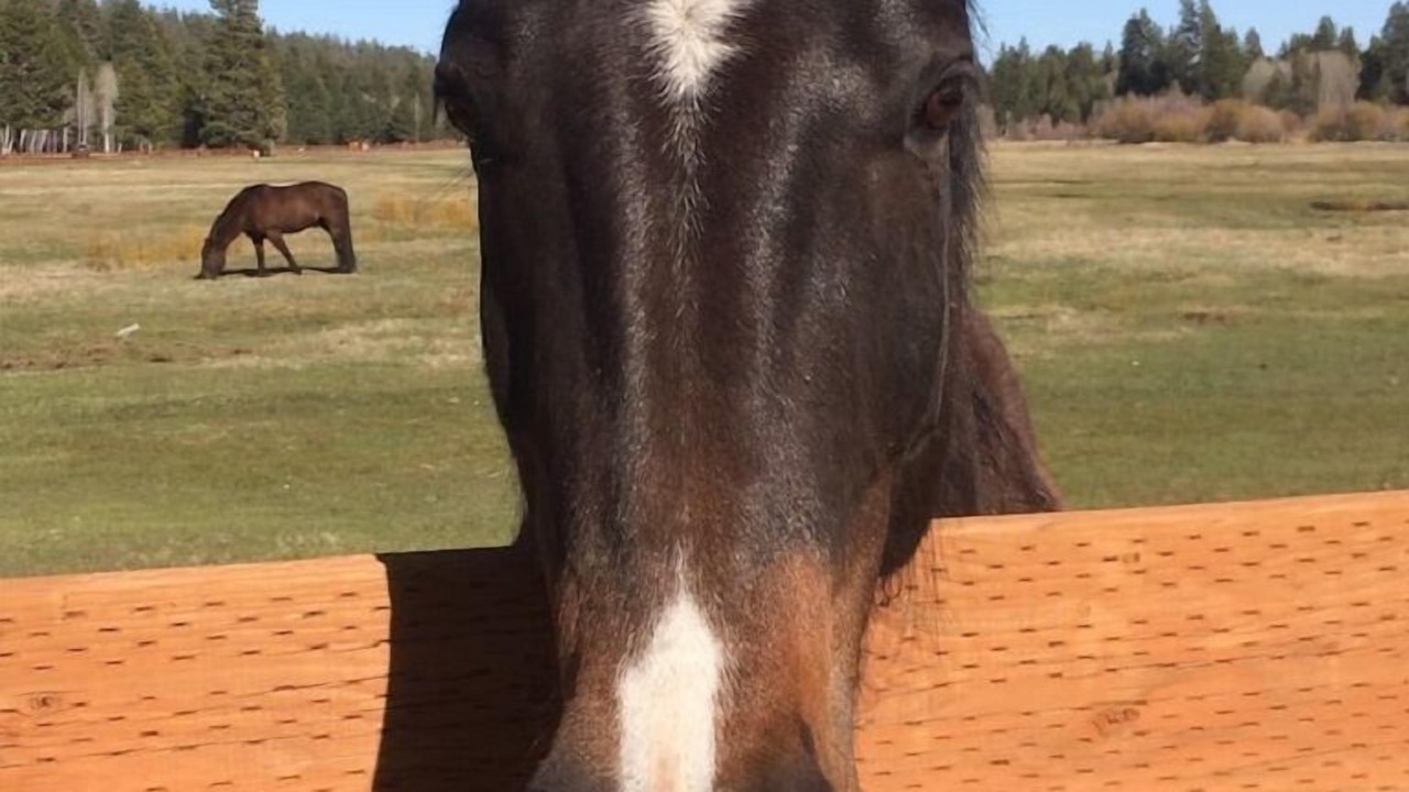 Photo of Outdoor in Black Butte Ranch