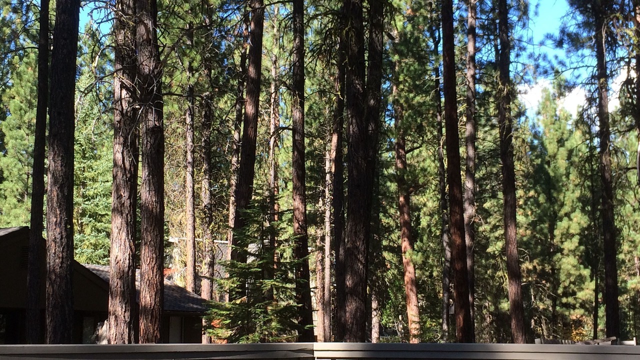 Photo of Outdoor in Black Butte Ranch
