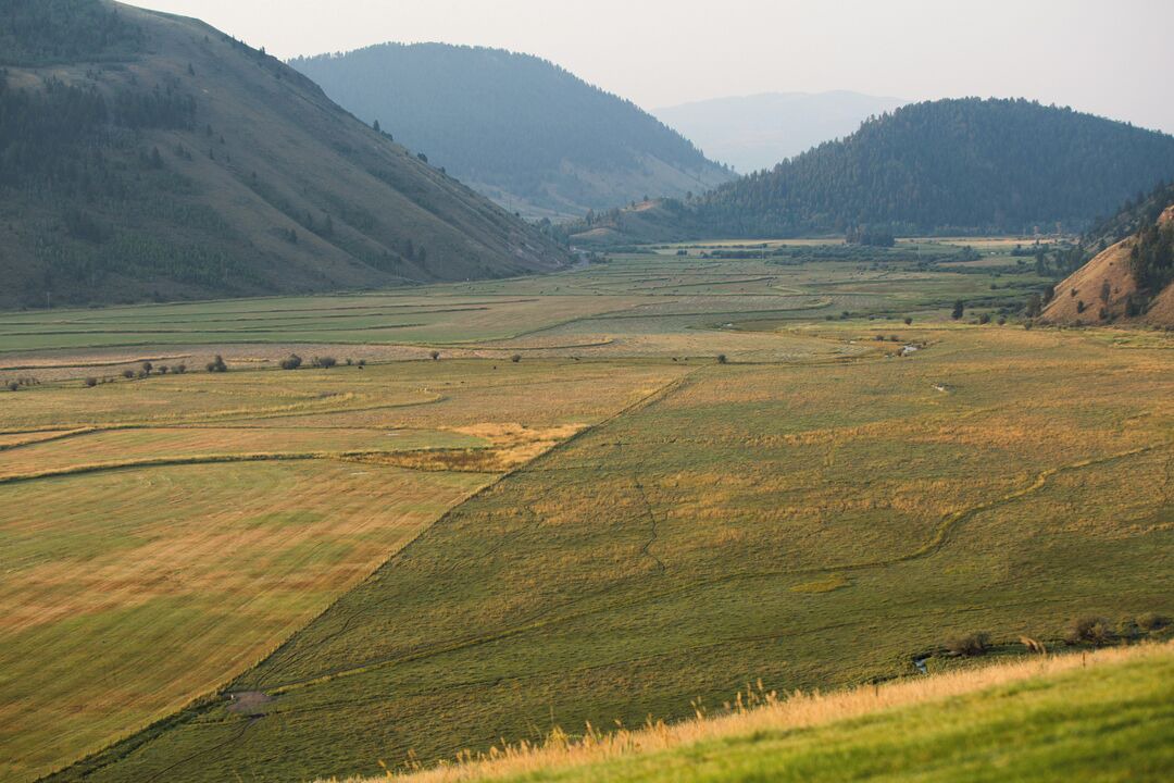 Photo of Others in North Gros Ventre