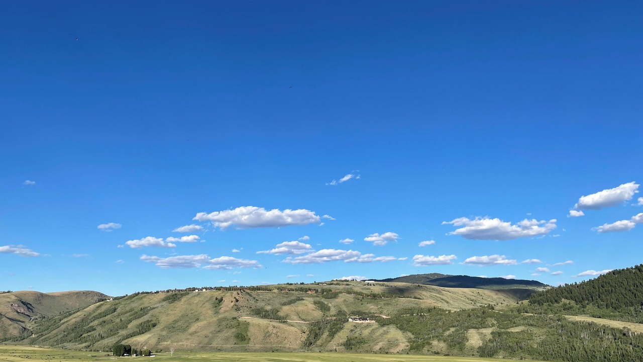 Photo of Others in North Gros Ventre