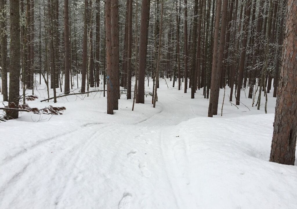 Photo of Outdoor in Paradise