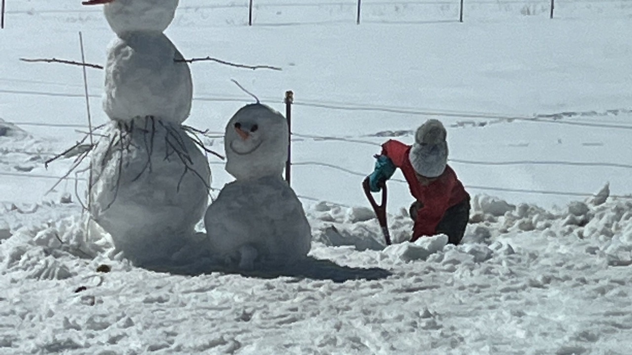 Photo of Others in Victor