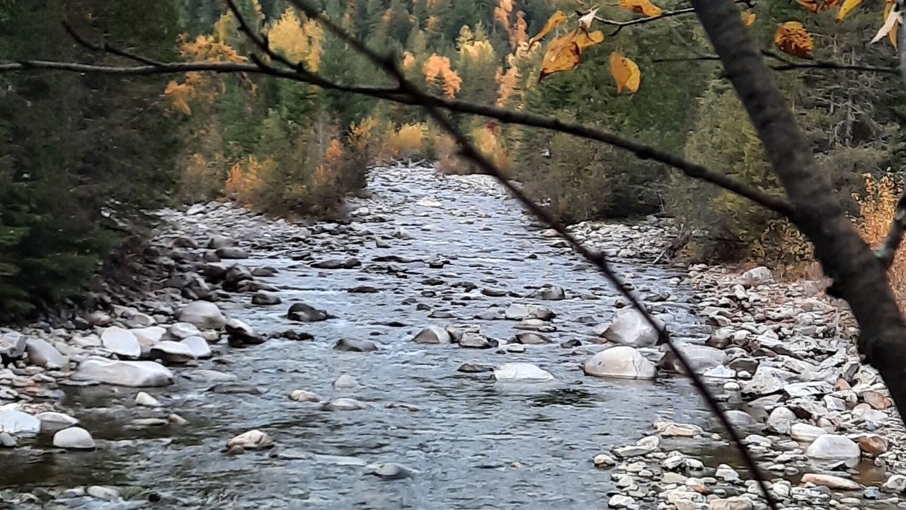 Photo of Others in Clark Fork