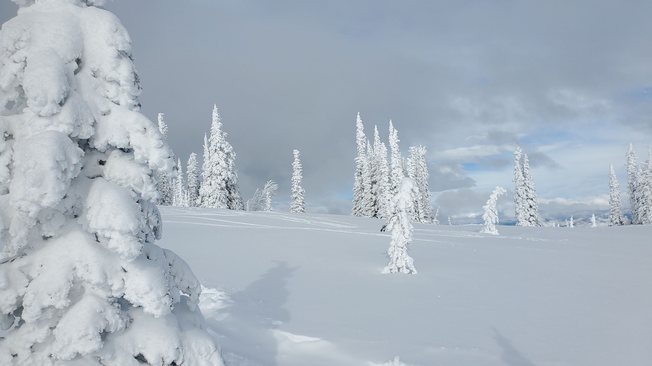 Photo of Outdoor in Tamarack Resort