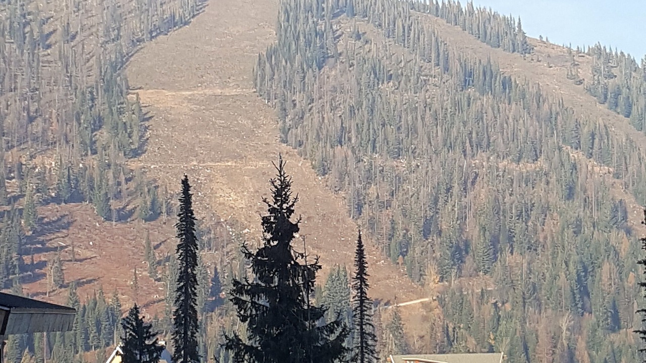 Photo of Others in Sandpoint
