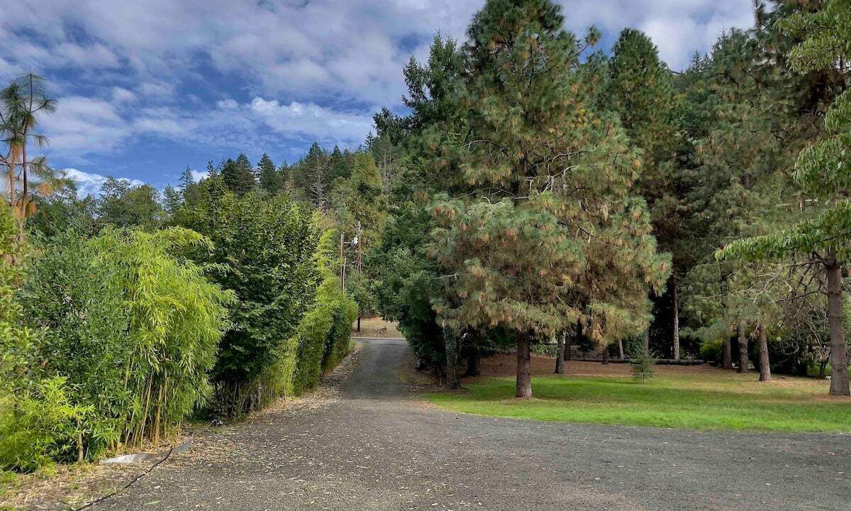 Photo of Outdoor in Roseburg