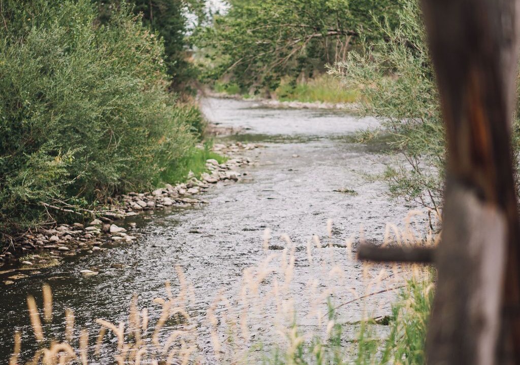 Photo of Others in Salmon