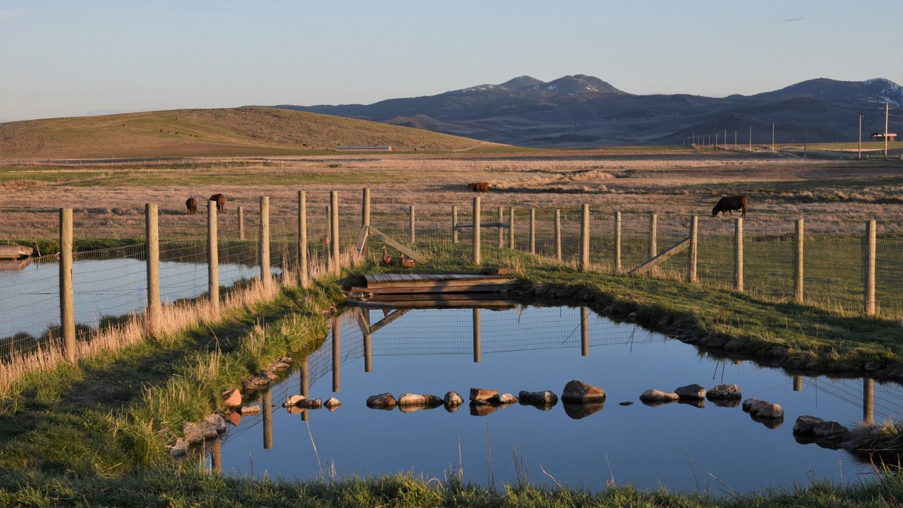 Photo of Others in Caribou County