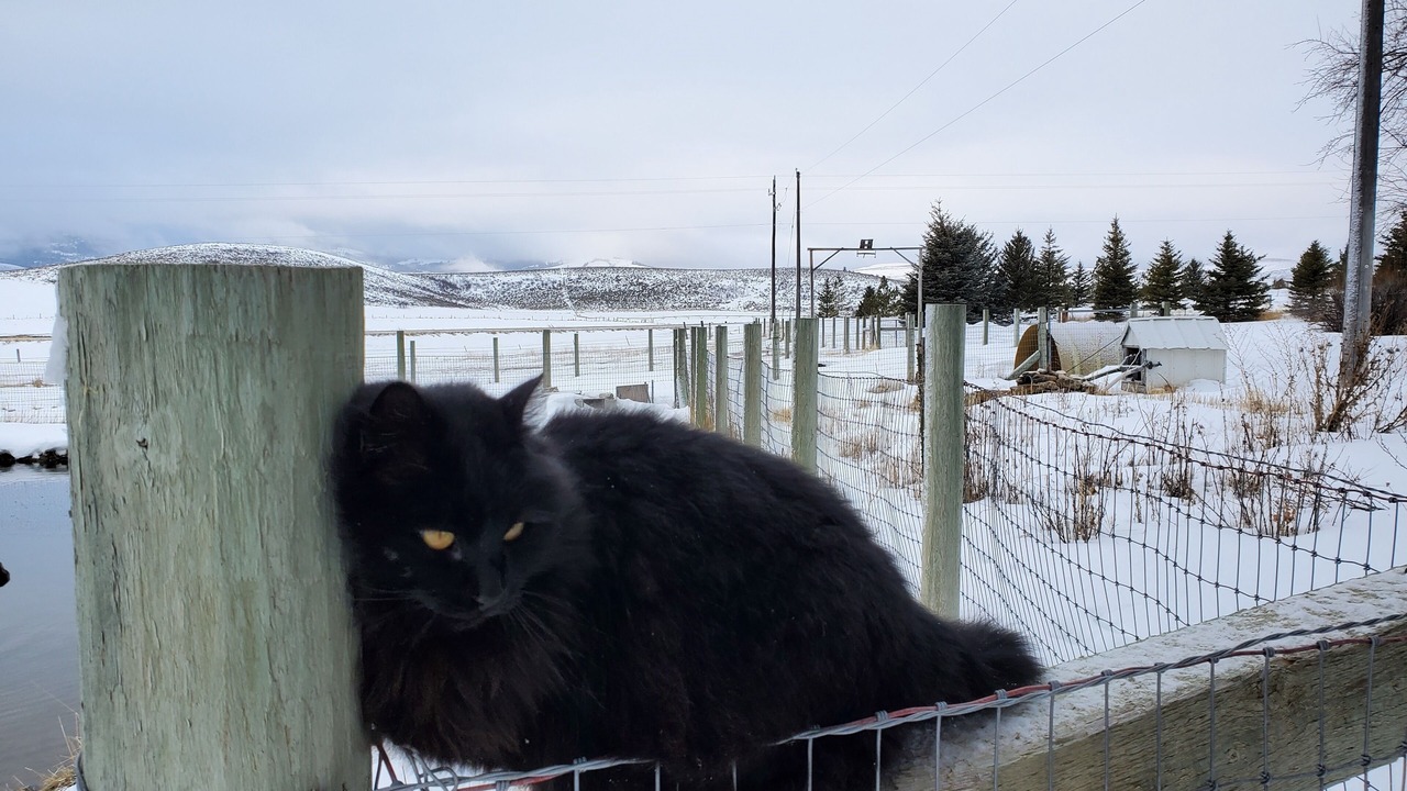 Photo of Others in Caribou County