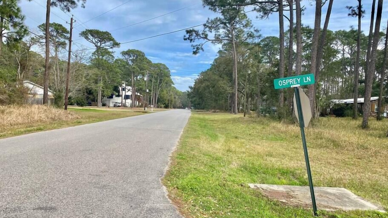 Photo of Others in Dauphin Island