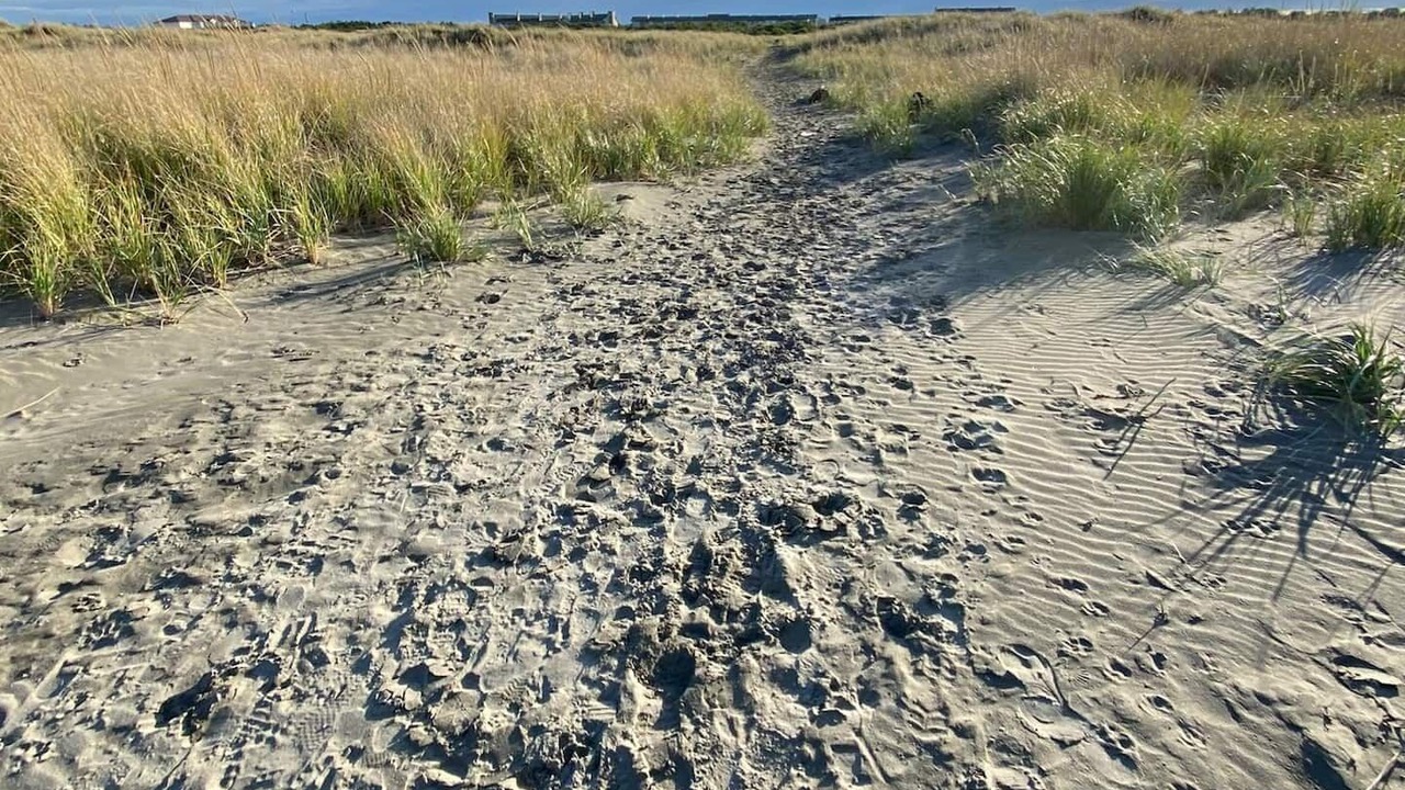 Photo of Others in Ocean Shores