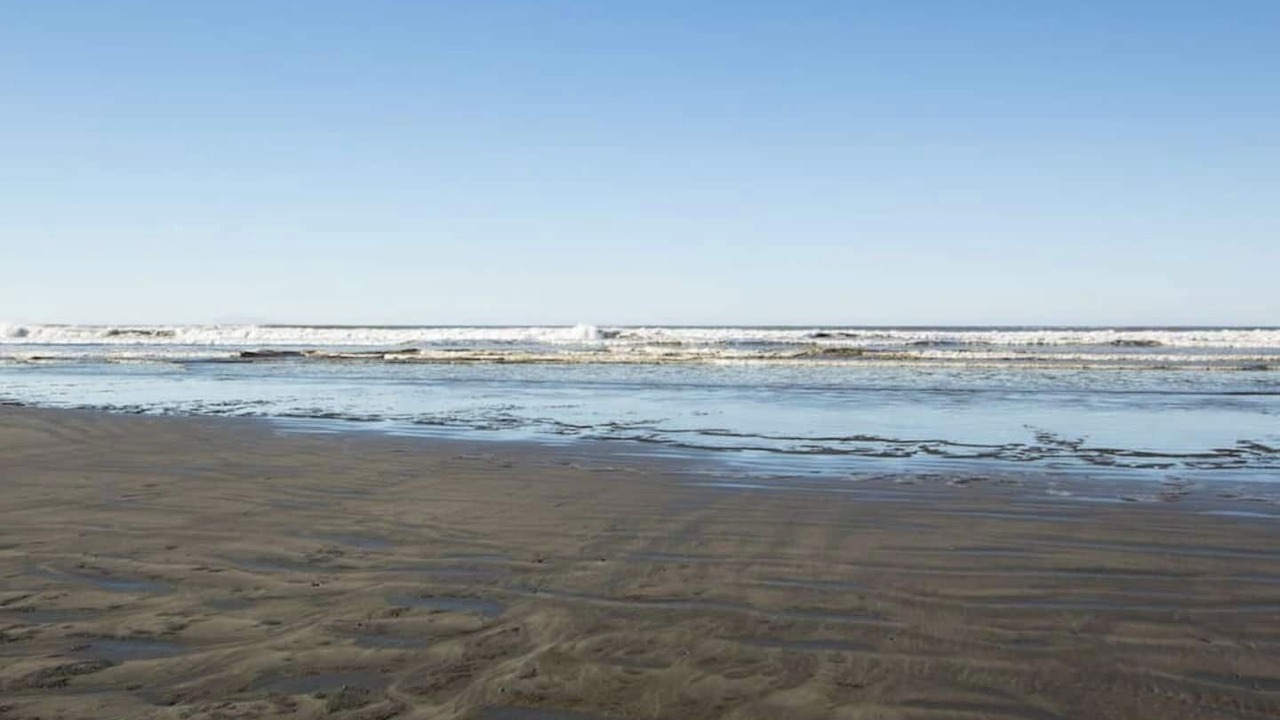 Photo of Others in Ocean Shores