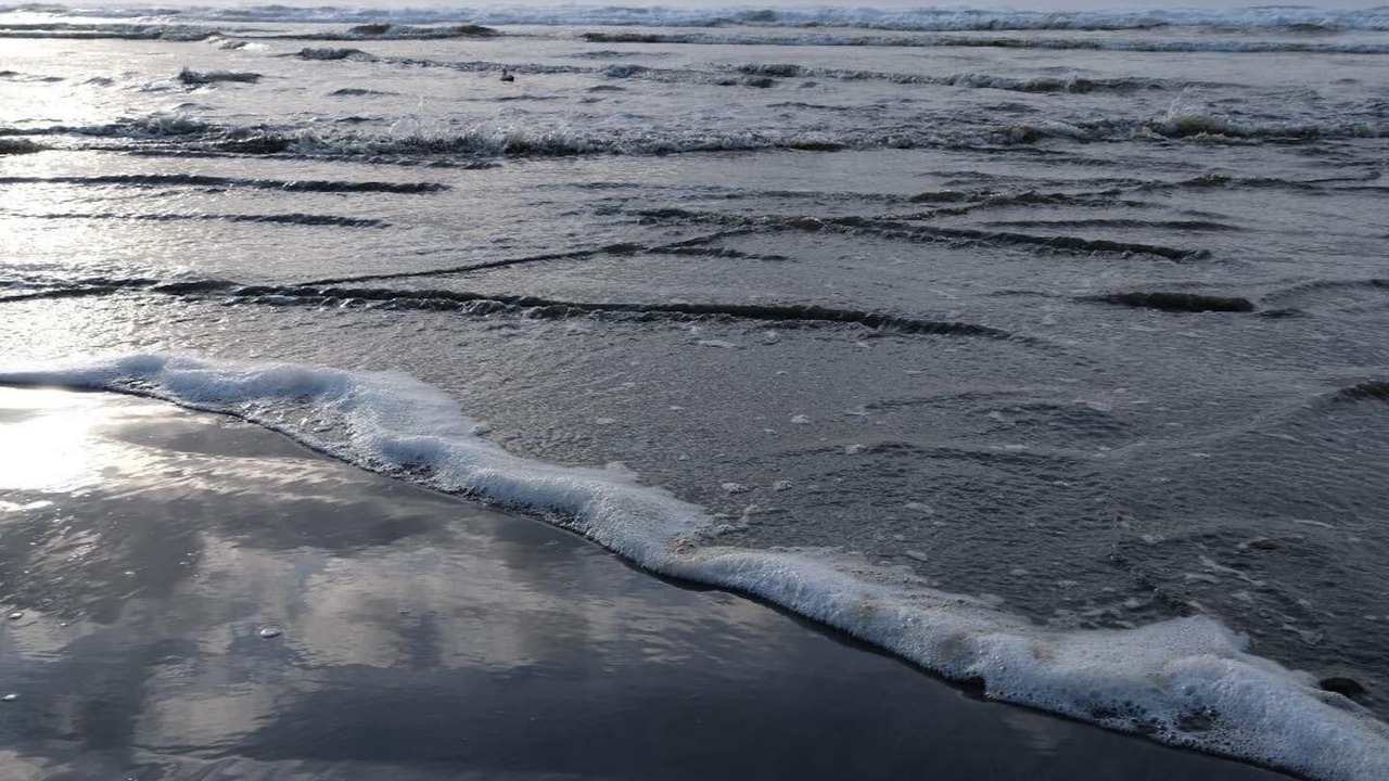Photo of Others in Ocean Shores
