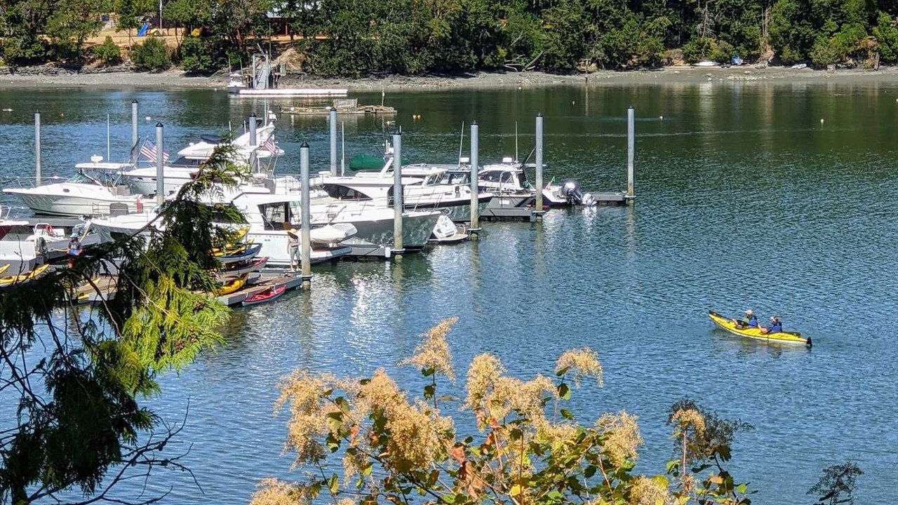 Photo of Others in Friday Harbor