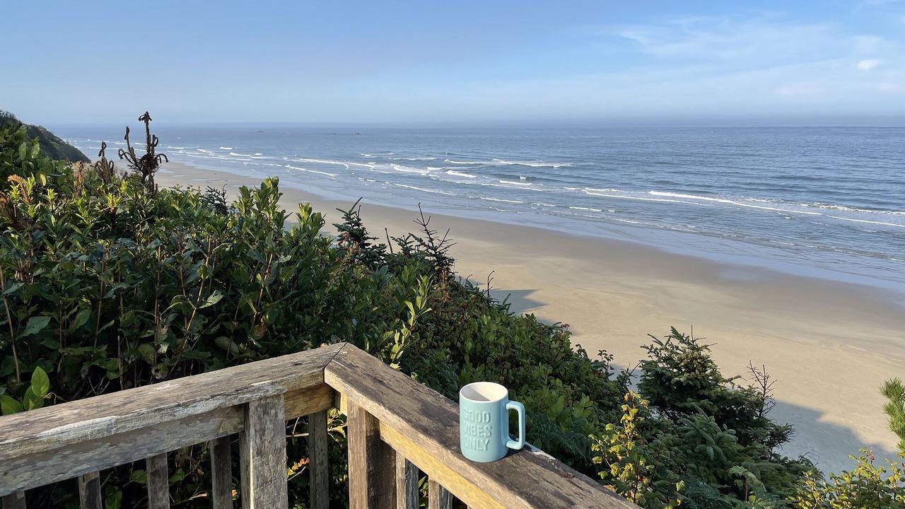 Photo of Others in Seal Rock