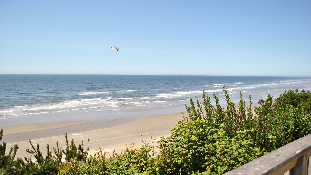 Photo of Others in Seal Rock