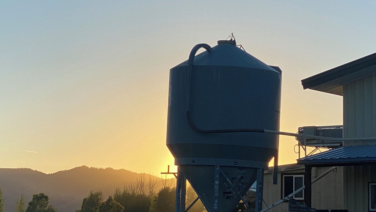 Photo of Outdoor in Victor