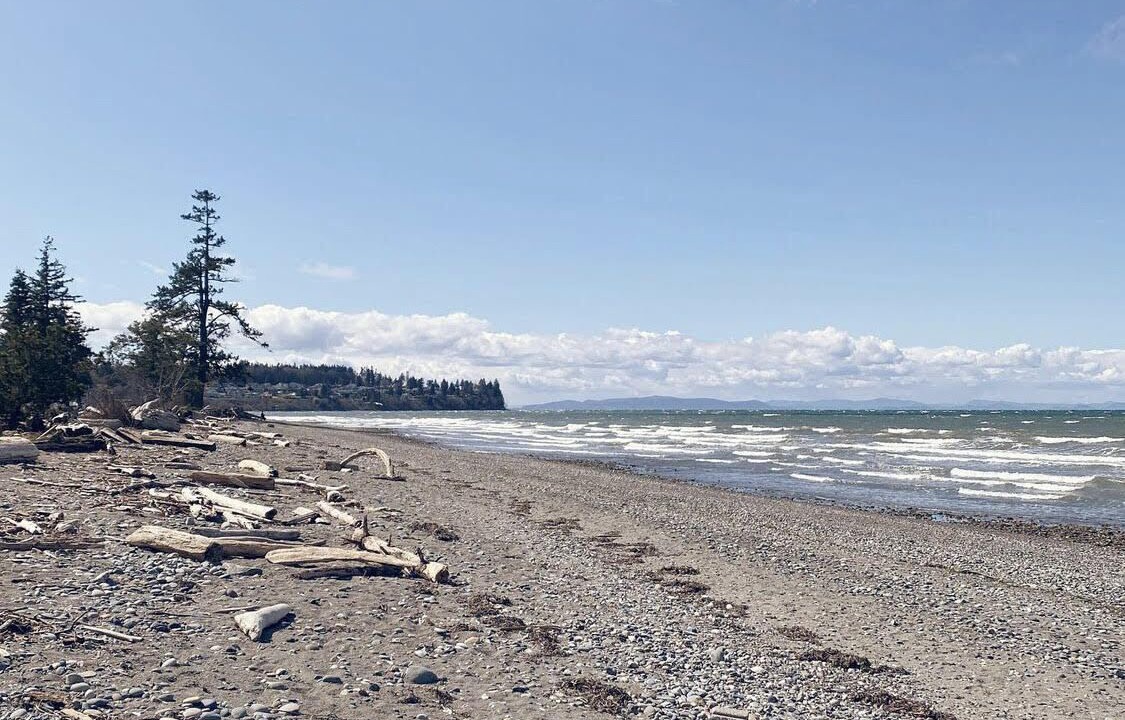 Photo of Others in Birch Bay