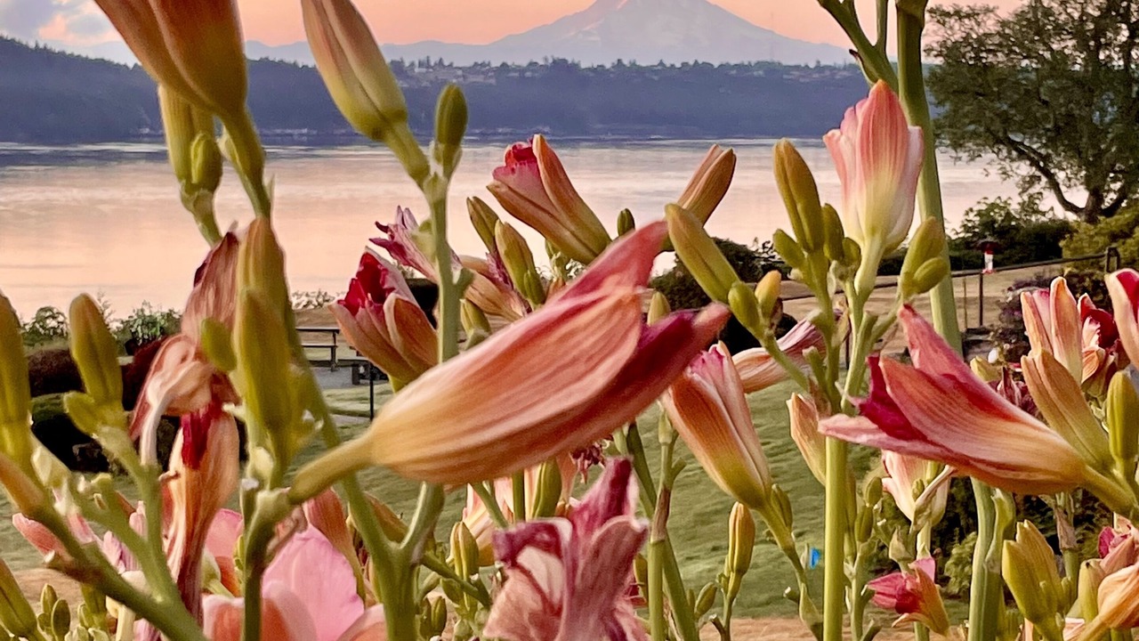 Photo of Others in Gig Harbor