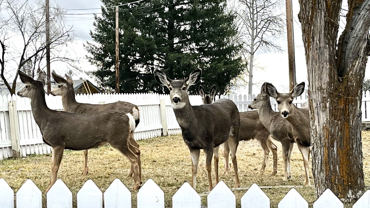 Photo of Others in Klamath Falls