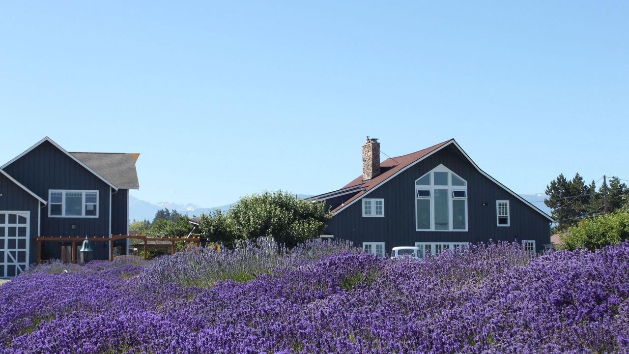 Photo of Outdoor in Sequim