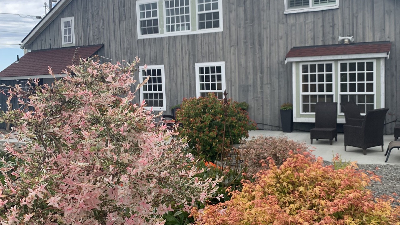 Photo of Outdoor in Sequim