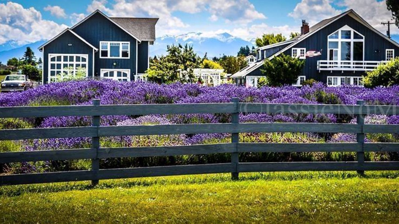 Photo of Outdoor in Sequim