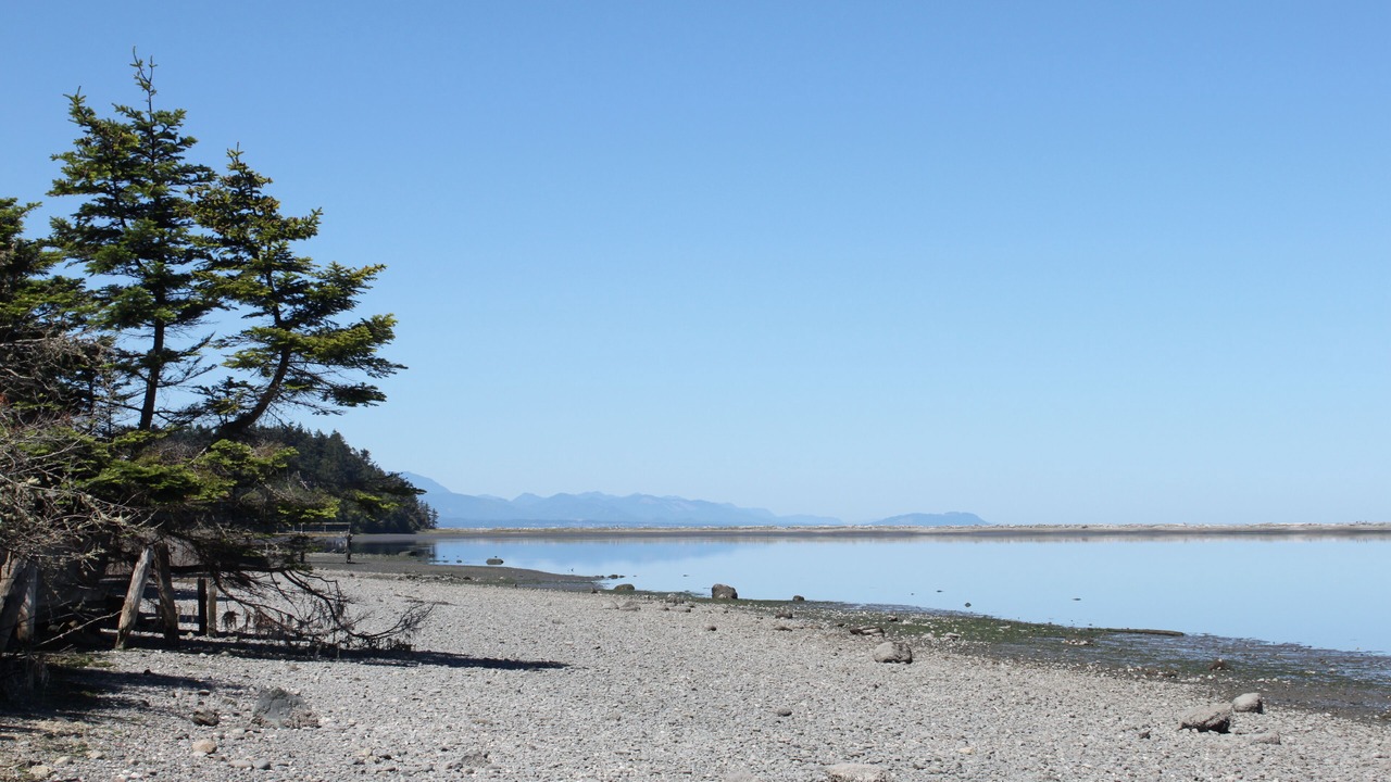 Photo of Others in Sequim