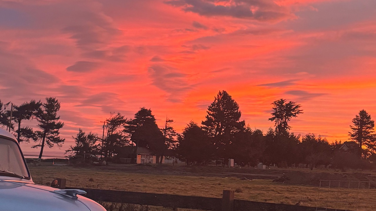 Photo of Others in Sequim