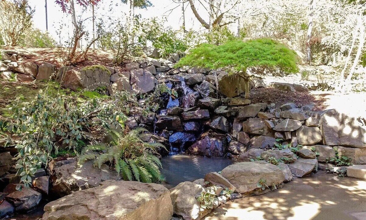 Photo of Outdoor in Albany