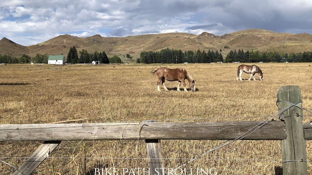 Photo of Others in Ketchum