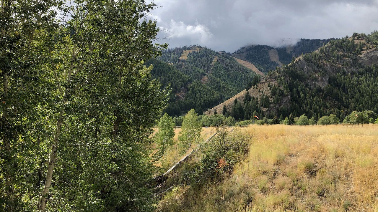 Photo of Others in Ketchum