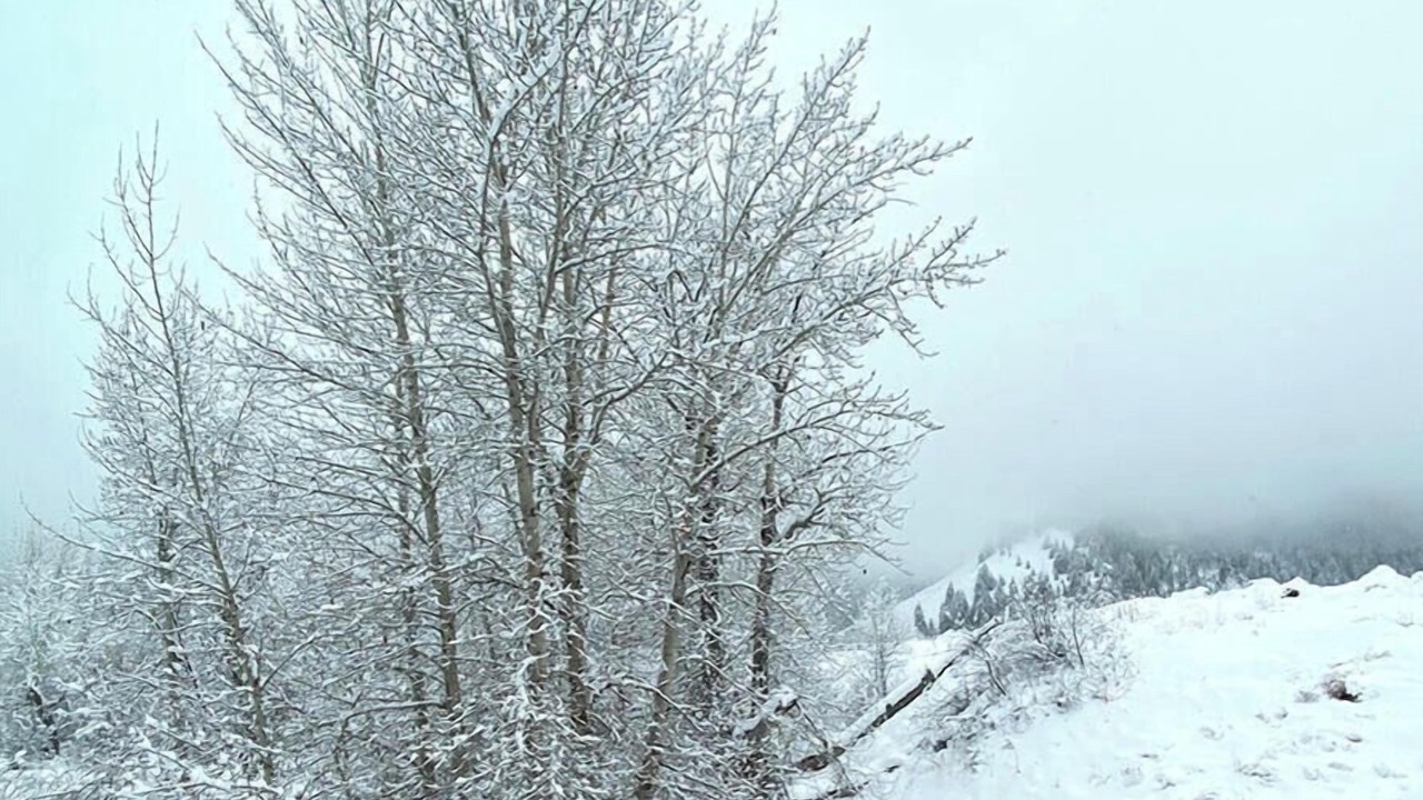 Photo of Others in Ketchum