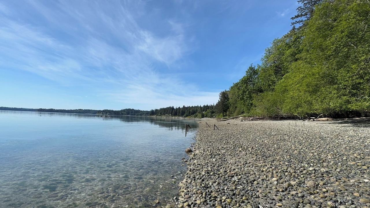 Photo of Others in Lakebay