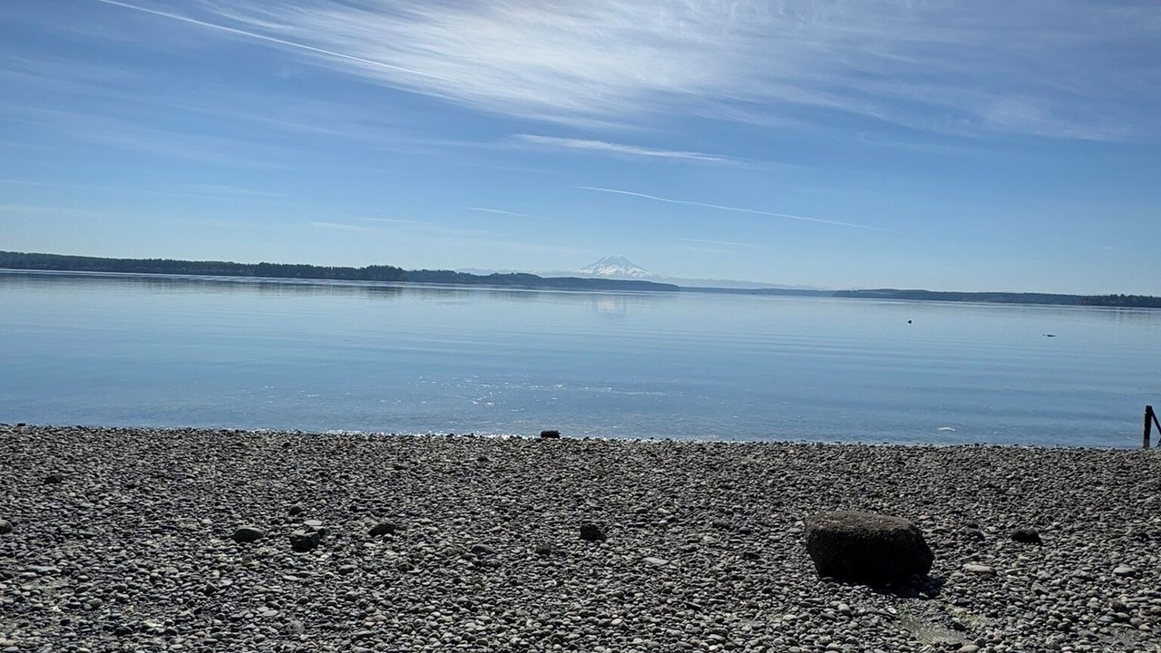Photo of Others in Lakebay
