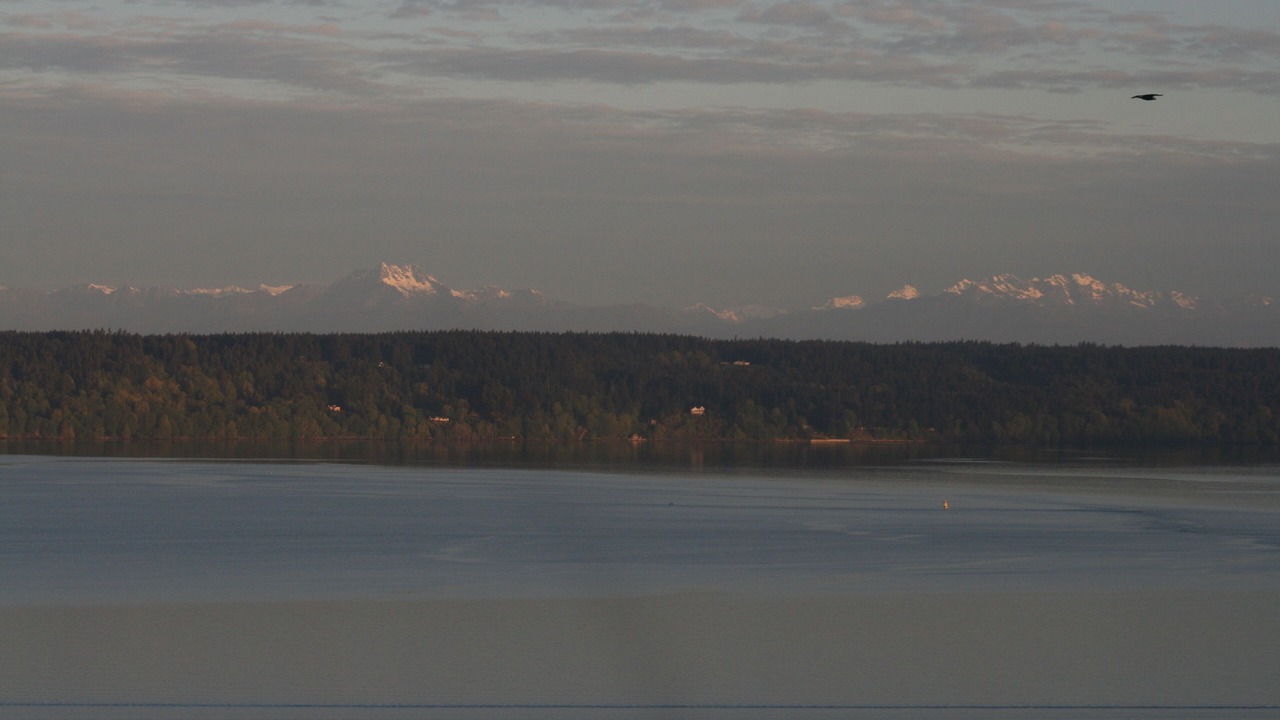 Photo of Others in Northeast Tacoma