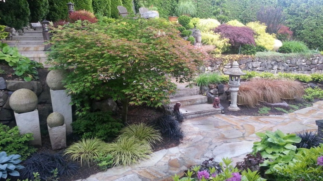 Photo of Outdoor in Northeast Tacoma