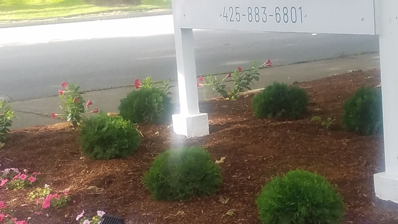 Photo of Others in Overlake