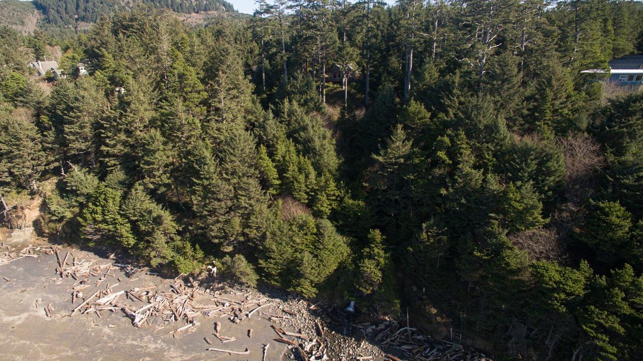 Photo of Outdoor in Otter Rock