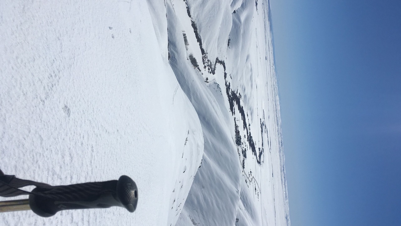 Photo of Others in Camas County