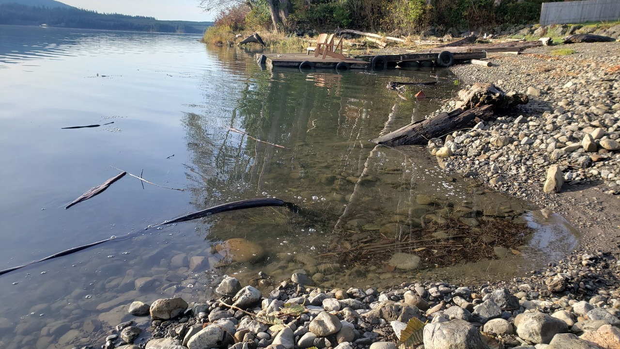 Photo of Outdoor in Amanda Park
