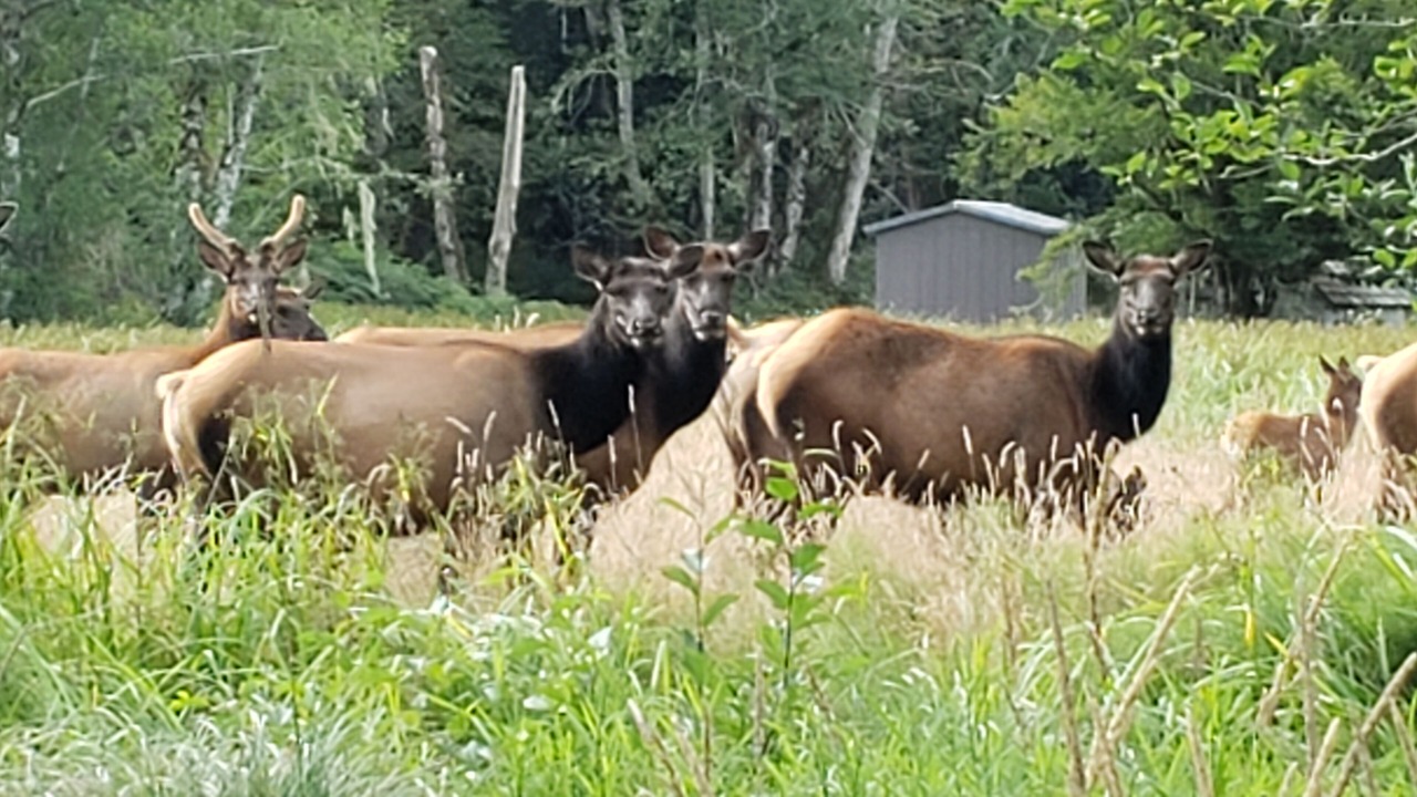 Photo of Others in Amanda Park