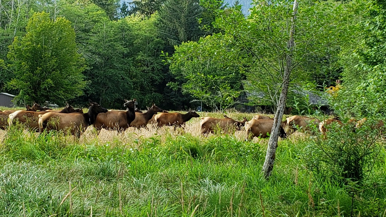 Photo of Others in Amanda Park