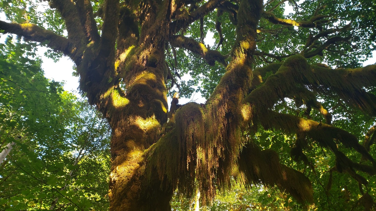 Photo of Others in Amanda Park