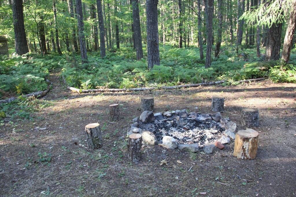 Photo of Outdoor in Packwood
