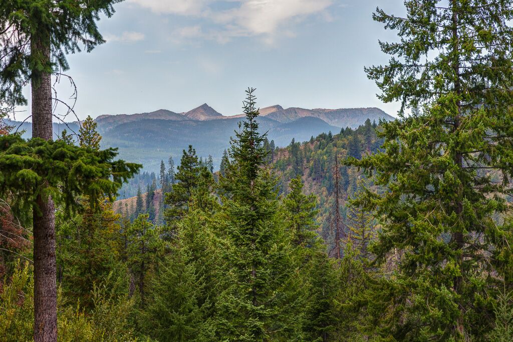 Photo of Others in Leavenworth