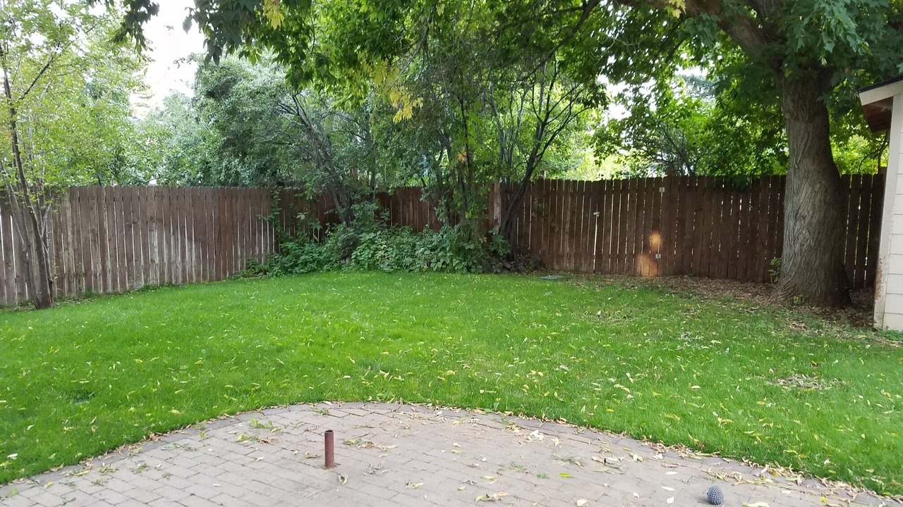 Photo of Outdoor in Bellevue
