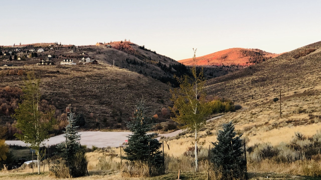 Photo of Outdoor in Cherimoya Hill
